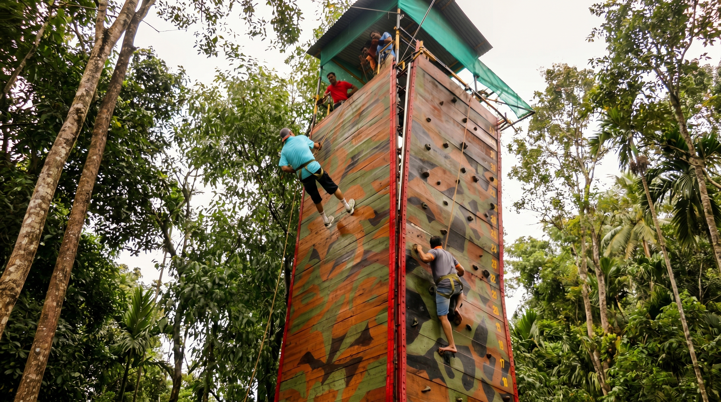 Wall Climbing